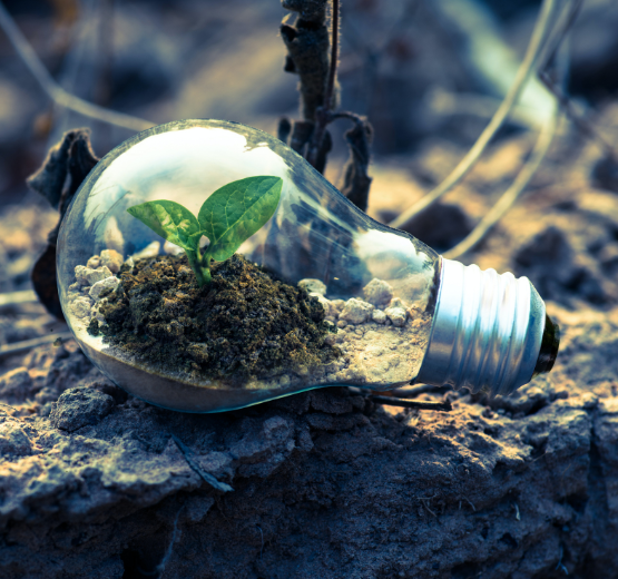 Soil and a small plant growing inside a lightbulb to denote how tracking the right KPIs can generate ideas and drive business growth.